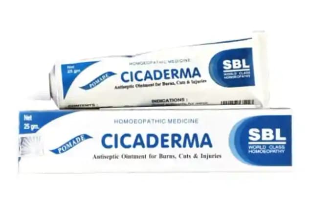 SBL Cicaderma Ointment (1 Tube Of 25 gm Ointment)