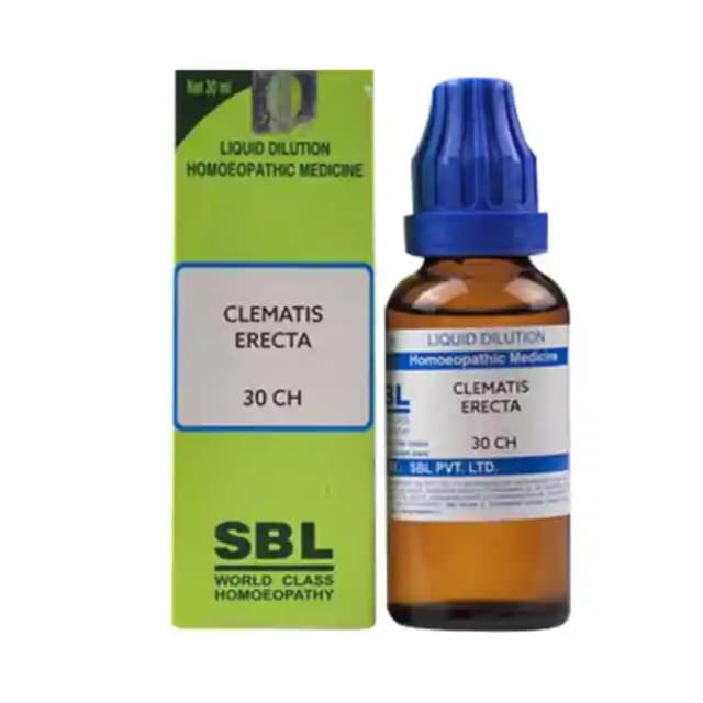 SBL Clematis Erecta Dilution 30 CH (1 Bottle of 30 ml Dilution)