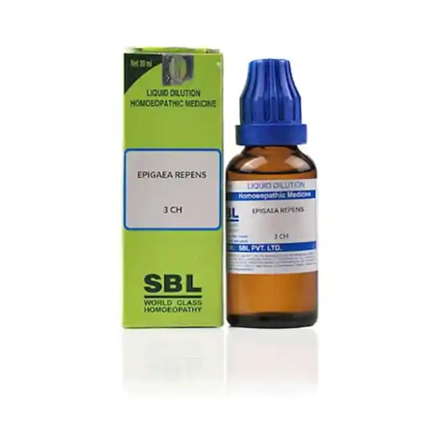 SBL Epigaea Repens Dilution 3 CH (1 Bottle of 30 ml Dilution)