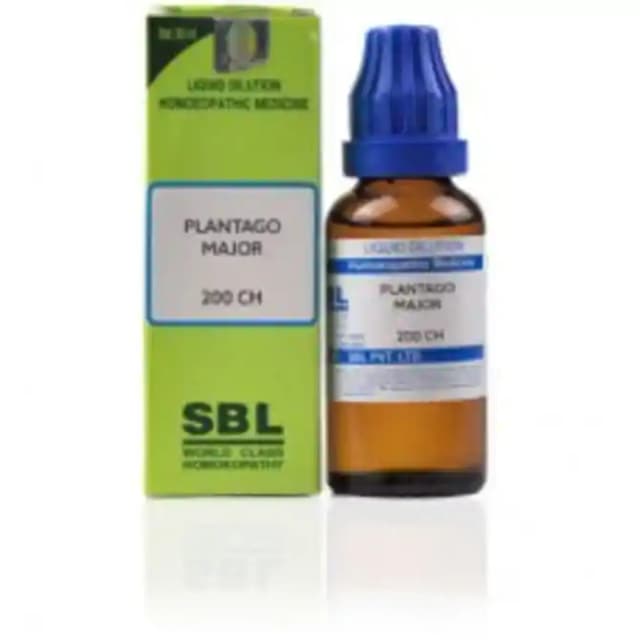 SBL Plantago Major Dilution 200 CH (1 Bottle of 30 ml Dilution)