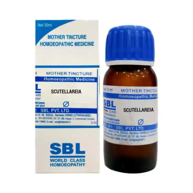 SBL Scutellareia Mother Tincture Q (1 Bottle of 30 ml Mother Tincture)
