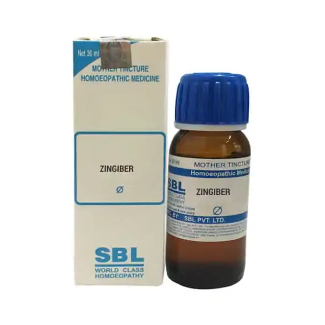 SBL Zingiber Mother Tincture Q (1 Bottle of 30 ml Mother Tincture)