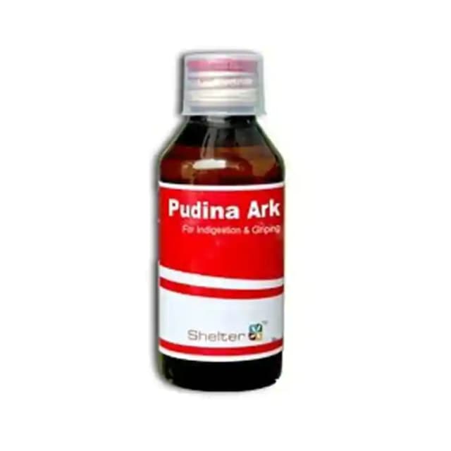 Shelter Pudina Ark (1 Bottle of 20 ml Liquid)