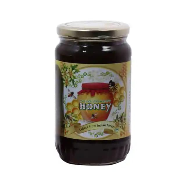 Surprise Foods Wild Forest Honey (1 Jar Of 250 gm Paste)