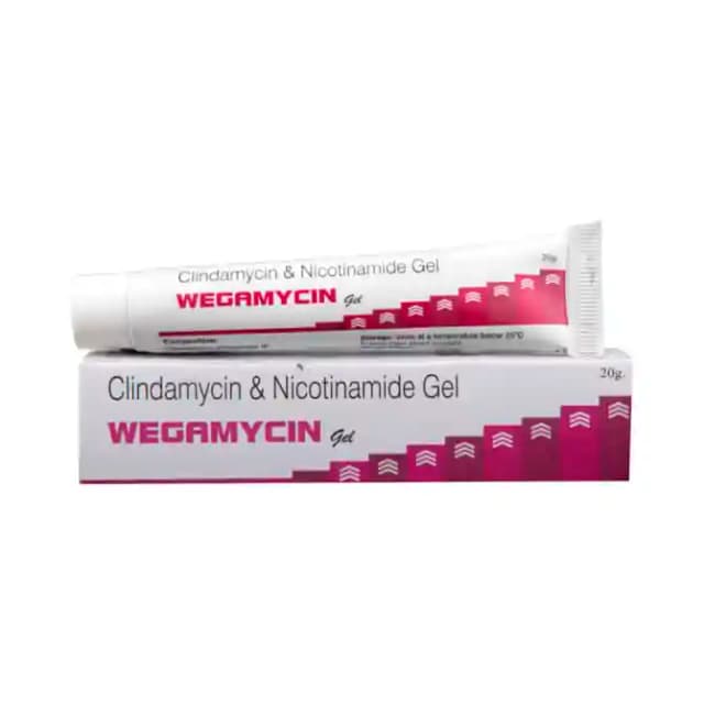 Wegamycin Gel (20 gm in 1 tube)