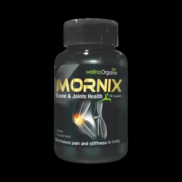 Wellna Organix Mornix (1 Bottle of 90 capsules)
