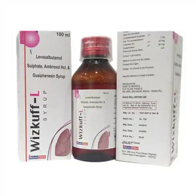 Wizkuff L Syrup (100 ml in 1 bottle)